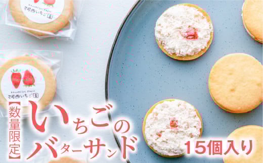 【数量限定】いちごのバターサンド　15個入り  バタークリームサンド 苺 お取り寄せ スイーツ