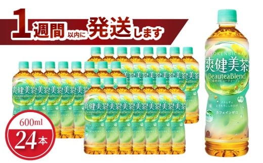 爽健美茶 PET 600ml（24本入） ノンカフェイン ペットボトル ドリンク お茶 ブレンド茶 コカ・コーラ 水分補給 リサイクル 人気 守山市