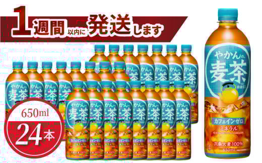 やかんの麦茶 from 爽健美茶 PET 650ml（24本入）