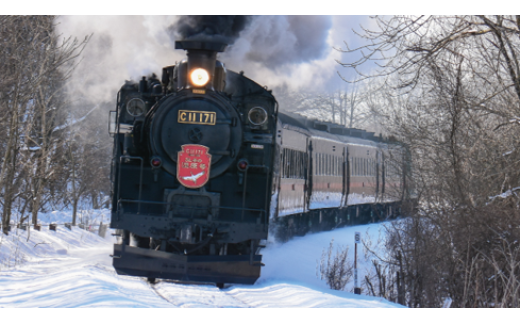 K010-25 鉄道模型【Nゲージ】C11 171+14系500番台「SL冬の湿原号」スタートセット