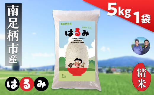 令和7年 新米 南足柄産のブランド米「はるみ(精米)」 5kg×1袋 ＜出荷時期：2025年10月末頃より順次出荷予定＞【 お米 神奈川県 南足柄市 】