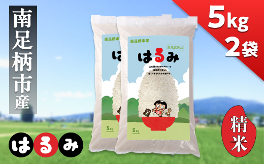 令和7年 新米 南足柄産のブランド米「はるみ(精米)」 5kg×2袋 計10kg＜出荷時期：2025年10月末頃より順次出荷予定＞【 お米 神奈川県 南足柄市 】