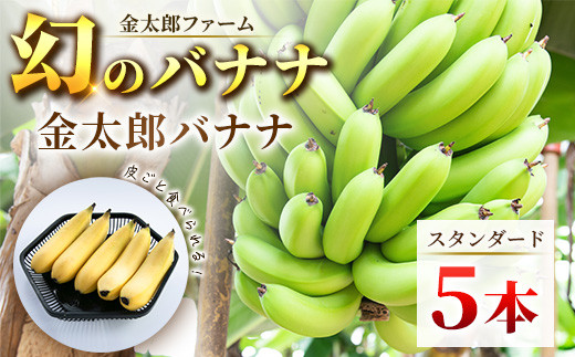 南足柄産国産バナナ スタンダード(栽培期間中農薬不使用)5本セット【ギフト プレゼント 贈り物 お返し おいしい 金太郎バナナ 果物 くだもの フルーツ お歳暮 お中元 神奈川県 南足柄市 】