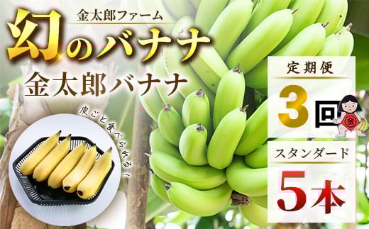 定期便:スタンダード 金太郎バナナ(15本)  5本×3回(毎月お届け) 栽培期間中農薬不使用 【国産 ギフト プレゼント 贈り物 お返し おいしい 金太郎バナナ 果物 くだもの フルーツ お歳暮 お中元 】