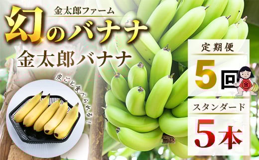 定期便:スタンダード 金太郎バナナ(25本)  5本×5回(毎月お届け) 栽培期間中農薬不使用 【国産 ギフト プレゼント 贈り物 お返し おいしい 金太郎バナナ 果物 くだもの フルーツ お歳暮 お中元 】
