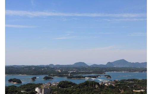 安全で安心なまちづくり又は環境保全に関する事業
