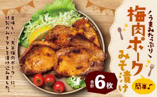簡単♪うまみたっぷり!梅肉ポークみそ漬け 6枚入 豚肉 ポーク 肉 お肉 梅肉 梅 味噌 みそ 味付き 九州 熊本県 上天草市 冷凍
