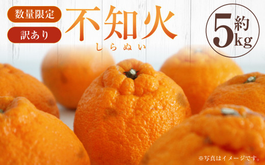 【先行受付】【数量限定】【訳あり】不知火 約5kg 訳あり 訳アリ 柑橘 フルーツ 果物 果実 くだもの みかん 蜜柑 ミカン 九州産 熊本県 上天草市【2026年2月下旬から3月下旬順次発送】