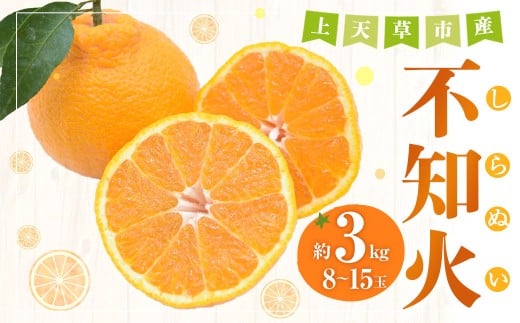 【先行受付】上天草市産 不知火 約3kg(8玉~15玉) 柑橘 果物 フルーツ 熊本県 上天草市 【2026年3月下旬から5月上旬順次発送予定】