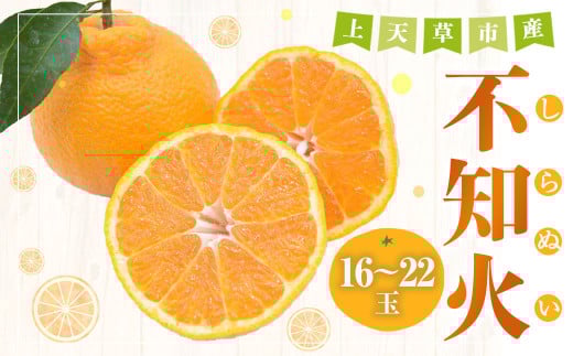 【先行受付】不知火 約5kg(16玉~22玉) 柑橘 みかん 蜜柑 ミカン デコポン フルーツ 果物 果実 カットフルーツ 天草 熊本県 上天草市 【2026年3月下旬から5月上旬順次発送予定】