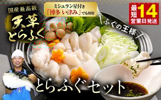 【ミシュラン星付きのプロが愛用】ふぐの王様!とらふぐ 国内最高級!天草とらふぐセット ふぐ鍋 フグ 河豚