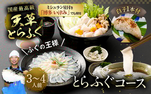【ミシュラン星付きのプロが愛用】【着日指定不可】【数量限定】【白子付】大皿使用 国産最高級!天草とらふぐコース(3~4人前)【2025年12月下旬~2026年3月下旬まで順次発送予定】ふぐ刺し ふぐ鍋 フグ ふぐ刺身セット 河豚