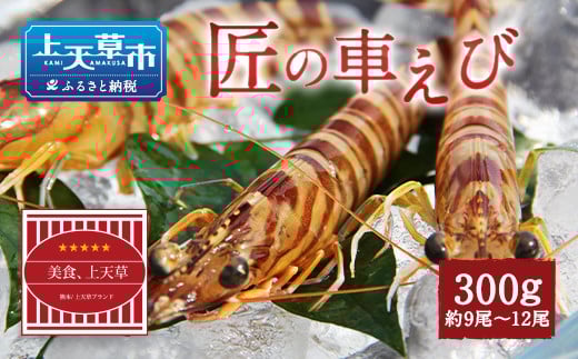 【上天草ブランド認証品】 匠の車えび【活き締め急速冷凍】300g(9尾~12尾)