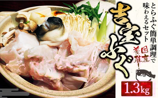 国産養殖!とらふぐ簡単調理で味わえるセット 吉宝ふぐ 1.3kg ふぐ 河豚 フグ とらふぐ トラフグ 簡単調理 刺身 鍋 から揚げ ひれ酒 出汁 3~4人前 熊本県 上天草市 【2025年10月下旬から2026年4月上旬発送開始】