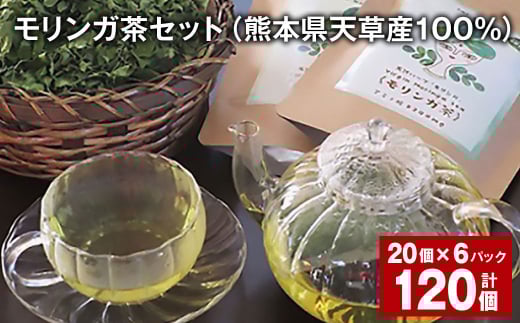 モリンガ茶セット(熊本県天草産100%) 計120個(20個✕6パック) ティーバッグ お茶 茶葉