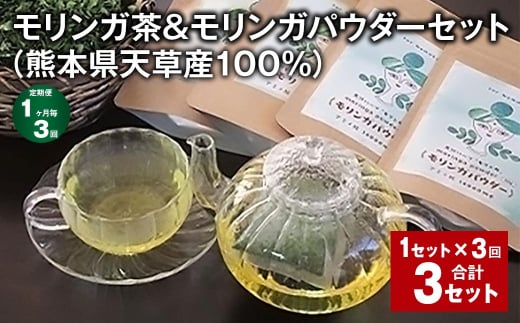 【1ヶ月毎3回定期便】モリンガ茶&モリンガパウダーセット(熊本県天草産100%) 計3セット(1セット✕3回) ティーバッグ パウダー お茶 茶葉