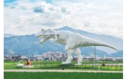 恐竜を核にした観光産業の活性化