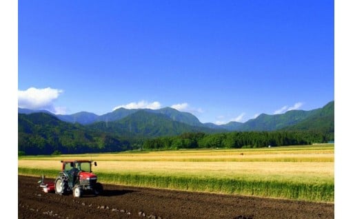 豊かな農地の整備・活用