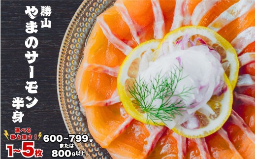 【ふるさと納税】福井県勝山市産 勝山 やまのサーモン 半身 冷凍 ｜サーモン 鮭 さけ サケ 福井県産 ふくい 魚 旬 新鮮 活〆 海鮮 魚介 ※600～799ｇ以上×5枚