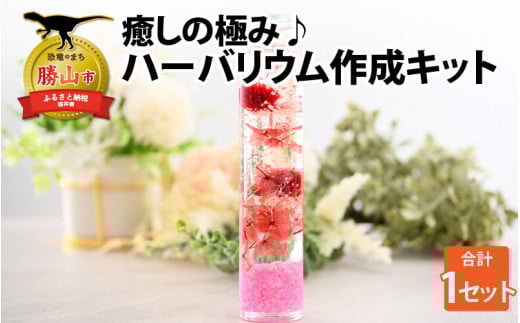 癒しの極み♪ハーバリウム作成キット [A-037004]