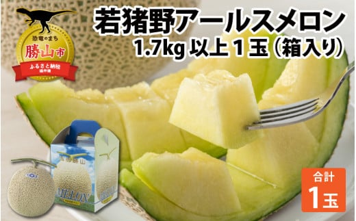 【令和8年産 先行予約】　若猪野アールスメロン 1.7kg 以上 1玉 箱入り ※2026年8月下旬より順次発送 [A-011013]