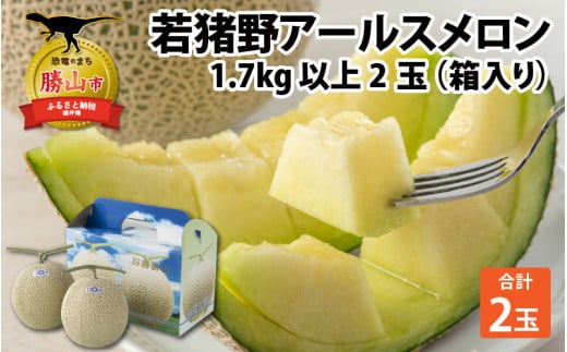 【令和8年産　先行予約】若猪野アールスメロン 1.7kg 以上 2玉 箱入り ※2026年8月下旬より順次発送 [A-011014]