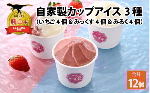 自家製カップアイス3種セット（いちご 4個 & みっくす 4個 & みるく 4個） [A-045003]