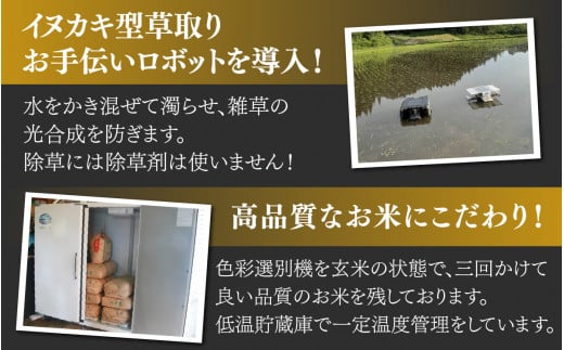 令和6年産】平泉寺産コシヒカリ「田歩米（たふまい）」 精米 3kg×1袋 [A-076001] | 福井県勝山市 | JRE MALLふるさと納税