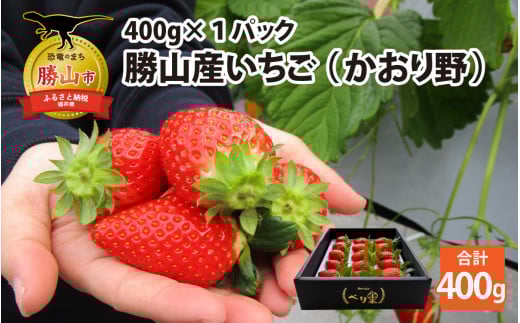【先行予約】勝山産いちご（かおり野）400g×1パック ※2025年12月上旬より順次発送 [A-045013]