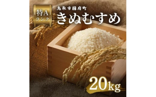 鳥取県産 きぬむすめ 令和7年度産 精米済 20kg（5kg×4袋）