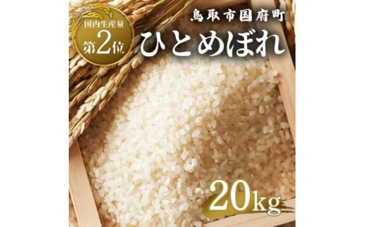 鳥取県産 ひとめぼれ 令和7年度産 精米済 20kg（5kg×4袋）