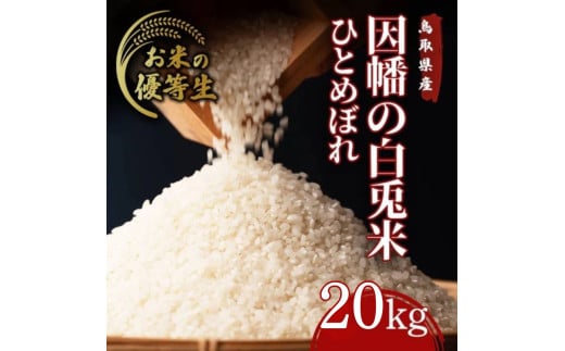 因幡の白兎米 ひとめぼれ 令和7年度産 精米済 20kg(5kg×4袋)