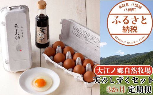 [3か月定期便]平飼い天美卵20個&たまごかけご飯専用醤油「天のしずく」セット[大江ノ郷自然牧場より直送]