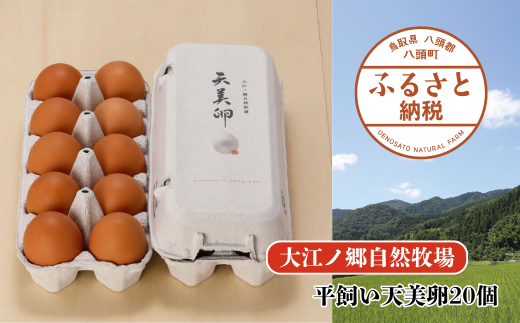 平飼い天美卵20個〈大江ノ郷自然牧場より直送〉