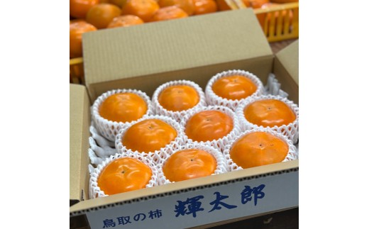 【2026年発送】輝太郎(秀品)3kg