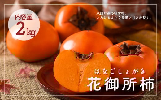 [数量限定]こおげ花御所柿 2kg 赤秀 2Lサイズ 9玉 物産館みかど 12月上旬から順次発送[もぎたて 旬 フルーツ 果物 柿 かき 花御所 郡家 こおげ 冬 鳥取県 八頭町 甘柿 甘味 幻][Y088]