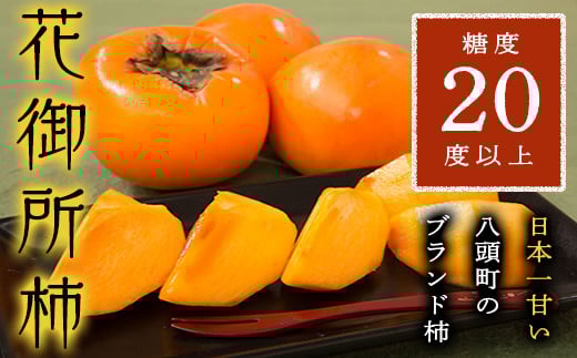 【2025年発送】八頭町特産 花御所柿