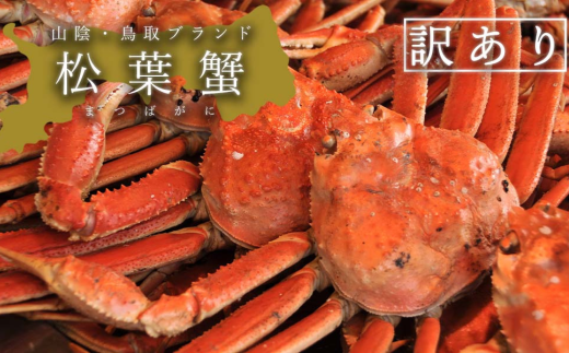 【蒸し】訳あり足折れ松葉ガニ 1kg