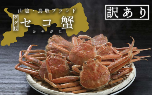【活き】訳あり足折れ日本海産親ガニ(セコガニ) 10枚