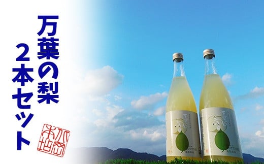 鳥取県産梨リキュール「万葉の宴」2本セット