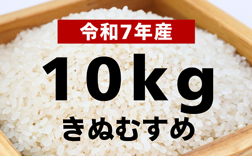 【令和7年産 新米】きぬむすめ10kg【令和7年10月以降発送】