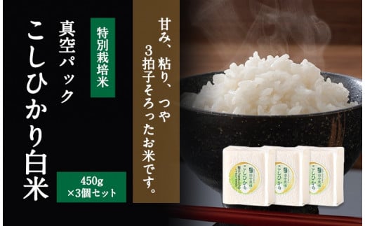 【令和7年産 新米】3個入りお米ギフト コシヒカリ3個【令和7年10月以降発送】