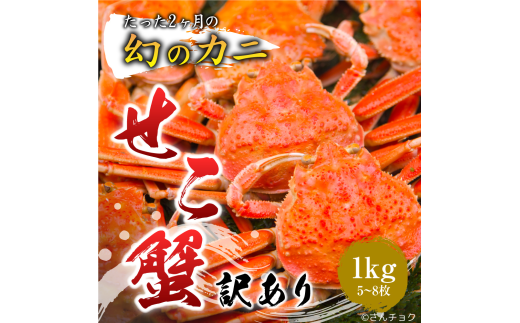 【活生】訳あり親ガニ 1kgセット(5~8枚入り)