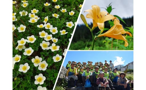 10　立山の高山植物保護活動の充実