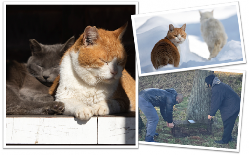 15 動物愛護の推進