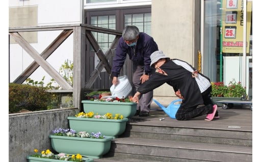 23　チューリップで彩られた花壇づくりの推進