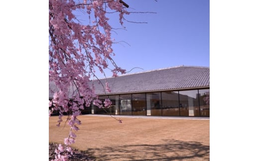 富山県水墨美術館友の会の個人特別会員プレミアムコース(1年分)【1397094】