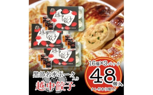 黒部名水ポーク入り越中餃子 3パック(48個入り)【1558250】