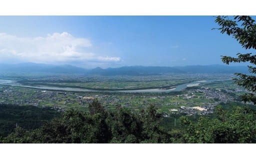 メニュー4　「市長におまかせ」未来にかがやく吉野川市のために