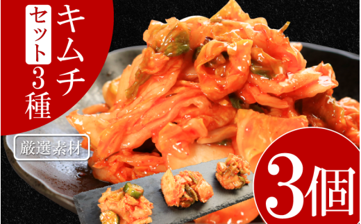 キムチ 3種 セット 各1個ずつ 計3個 本格キムチ カッパキムチ 白菜キムチ きゅうりキムチ ピリ辛 おつまみ 食物繊維たっぷり 韓国 乳酸菌 健康 ご飯 お供 旨味 国産野菜 キムチ鍋用 韓国料理 漬物 発酵食品 ダイエット 低カロリー ビビンバ 焼肉 キムチ鍋 鍋 炒め物 料理 徳島県 吉野川市